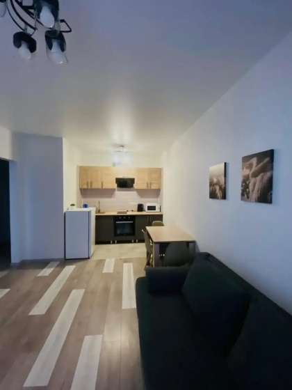 Apartamenty Avion Persival' — отель с удобствами в Барнауле