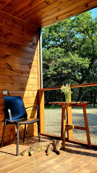 Castnyj dom Barn haus V tisine, u lesa i gornoj reki v Adygee — отзывы гостей и цены