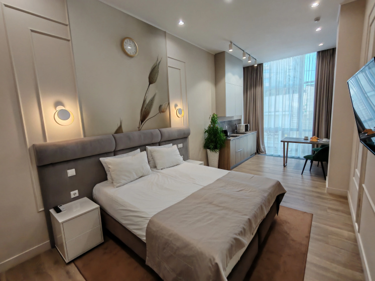 Апартаменты Palma House Двухместные в Центре Сочи — отель с удобствами в Сочи