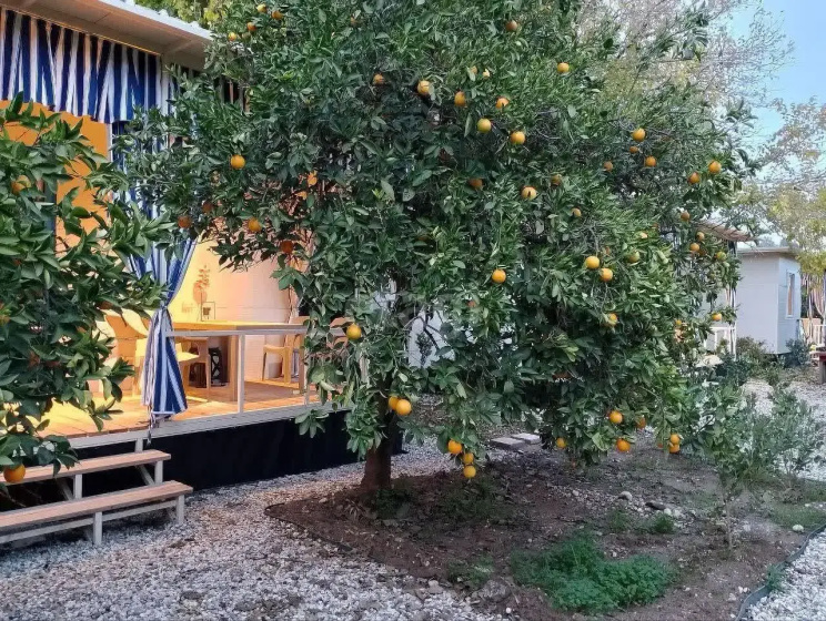Bungalo Dogada Bungalov — отель с удобствами в Анталье