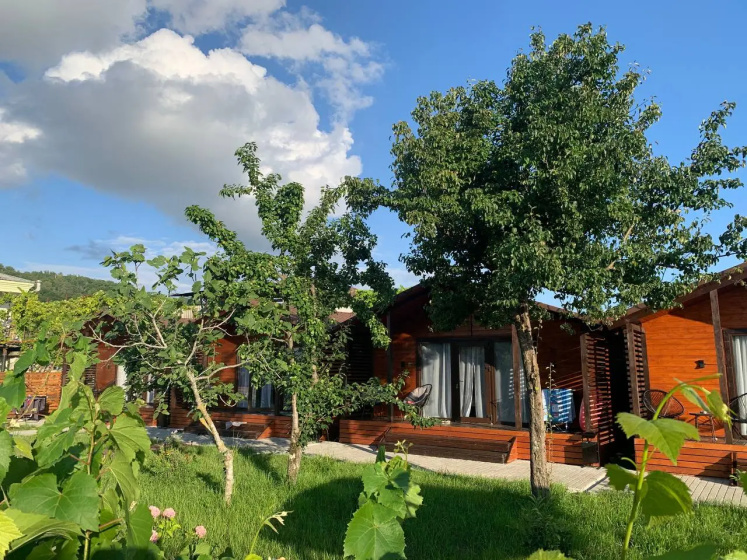 Baza otdyha San Siro cottage house — отель в Сухуми, Абхазия