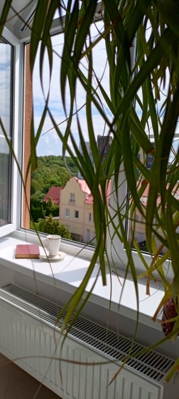 Квартира SEA Apartments — отель с удобствами в Светлогорске