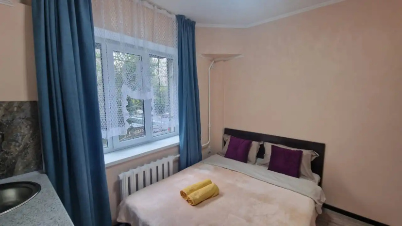 Apartamenty na ulice Puskina — отель с удобствами в Алматы