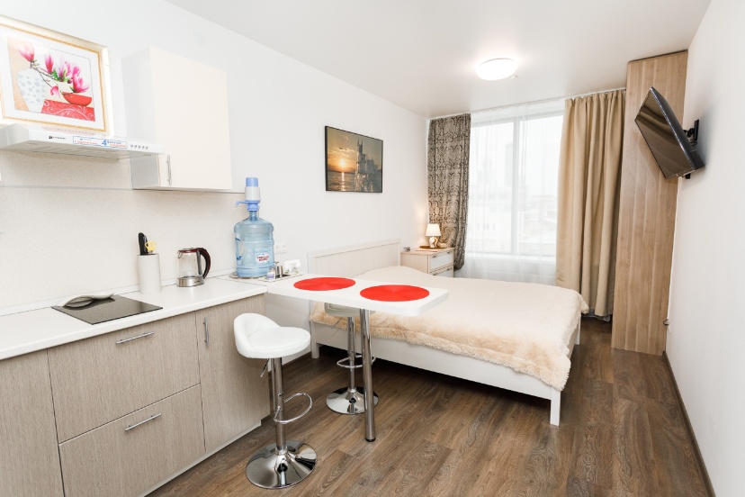 Апартаменты Radius Central House c Компанией Домашний Уют 1 — забронировать отель в Екатеринбурге