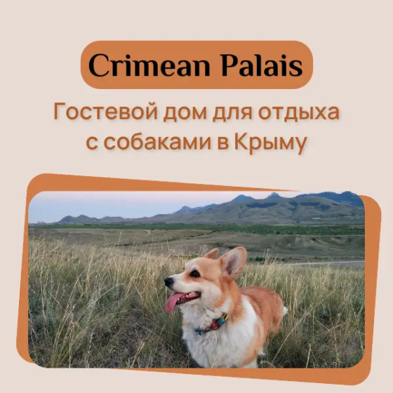 Гостевой дом Crimean Palais — отель с удобным расположением в Коктебель