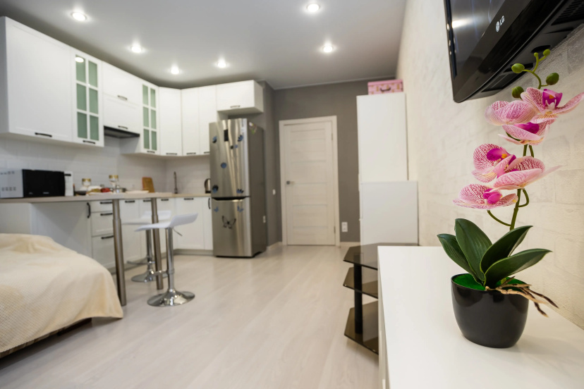 Kvartira Dikaa Orhidea — отель с удобствами в Архангельске