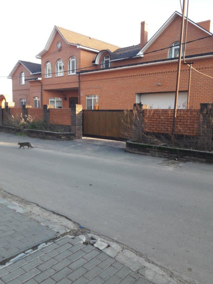 Nad Rekoj Guest House — забронировать отель в Муроме