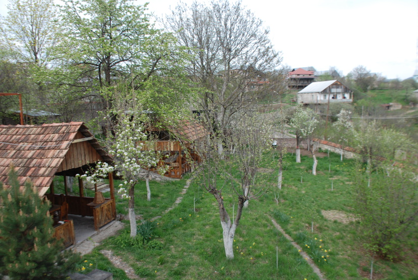 Гостевой Дом Ktoor — отель в Дилижан, Армения