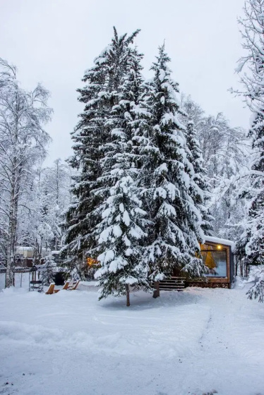 Цены на Частный дом Дом у леса с баней и чаном в Всеволожск