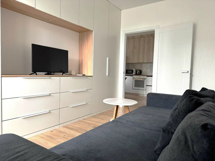 Квартира 2-х комнатная 36,9 м² 2 диван-кровати — отель в Сочи, Россия