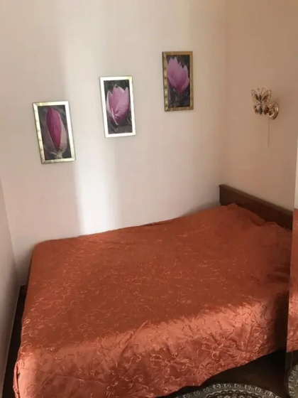 Цены на Магнолия в Анапе