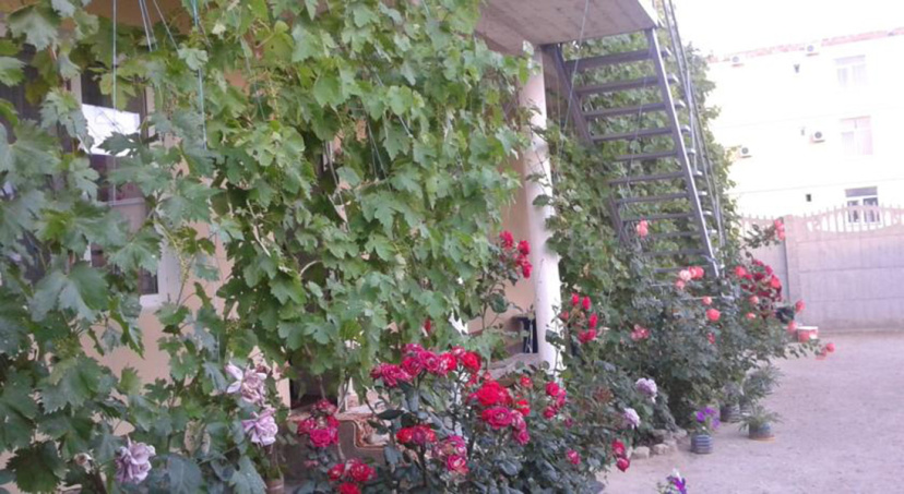Guest House u Timura — отель в Судак, Россия