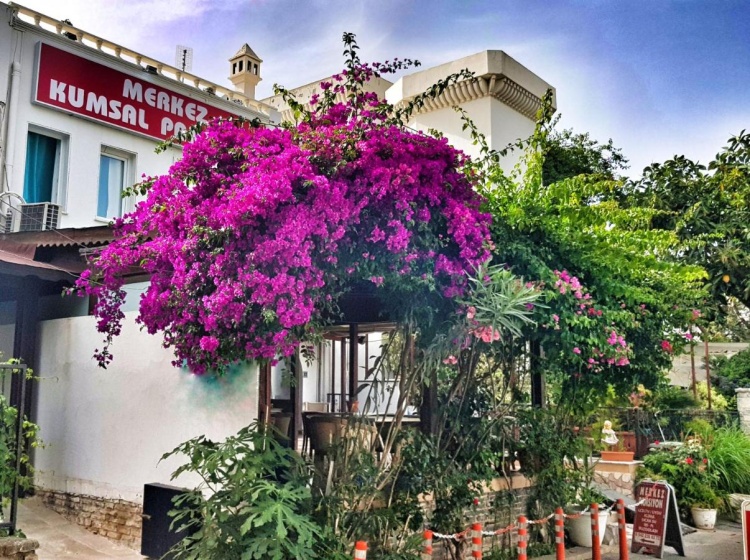 Bodrum Merkez Kumsal Pansiyon — отель в Бодрум, Турция