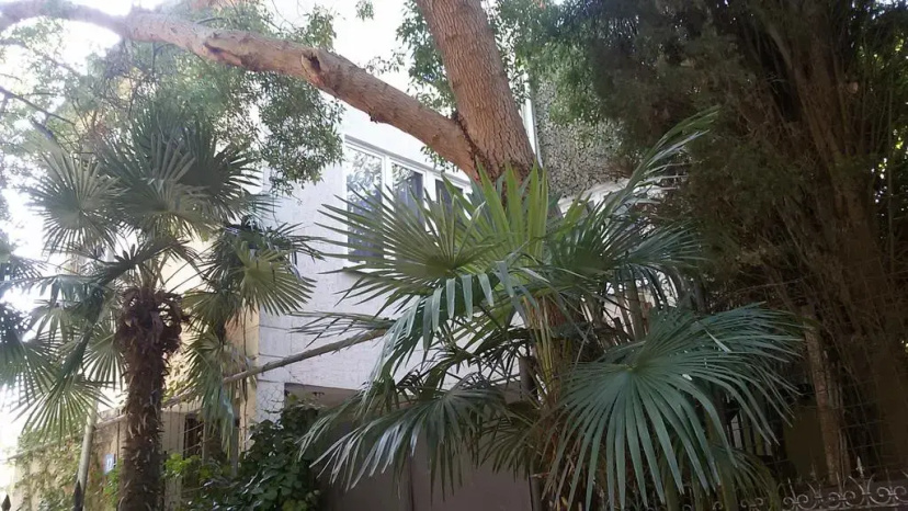 Guest House Yalta Prima — забронировать отель в Ялта