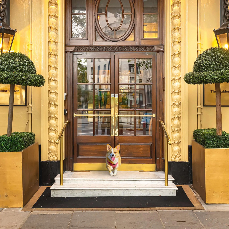 The Waldorf Hilton, London