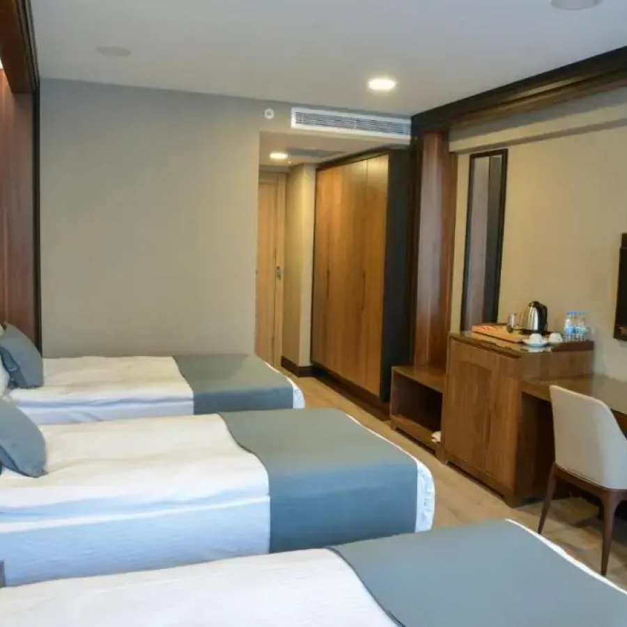 Valens Hotel Downtown