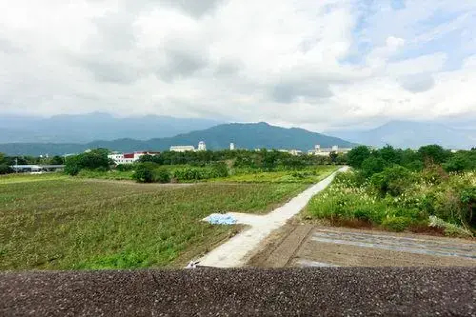 Yala Hotel