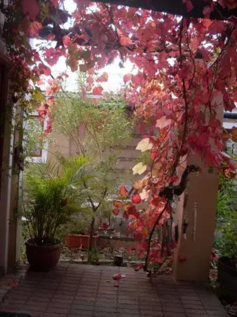 Anna Sophia Cottages