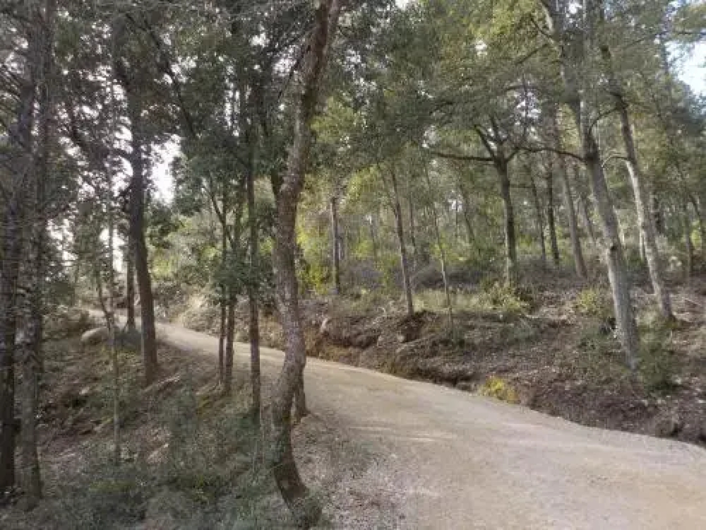 Agriturismo Ormanni Podere La Querce E Montignano