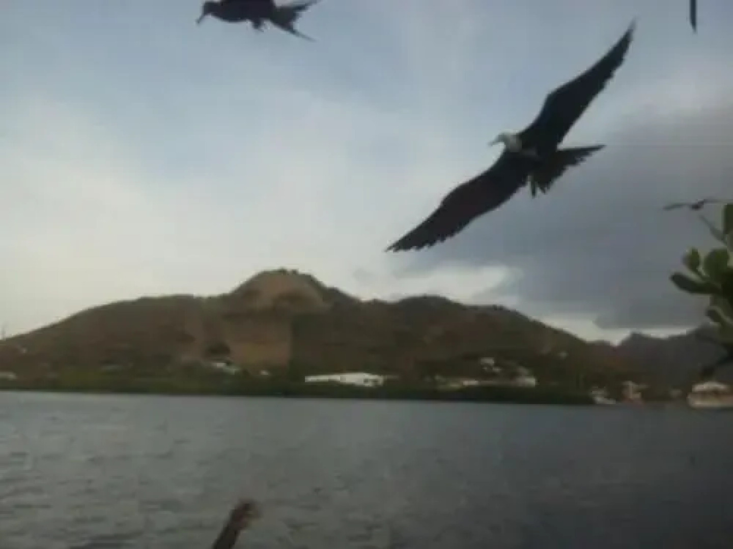 Posada Bully´s Place