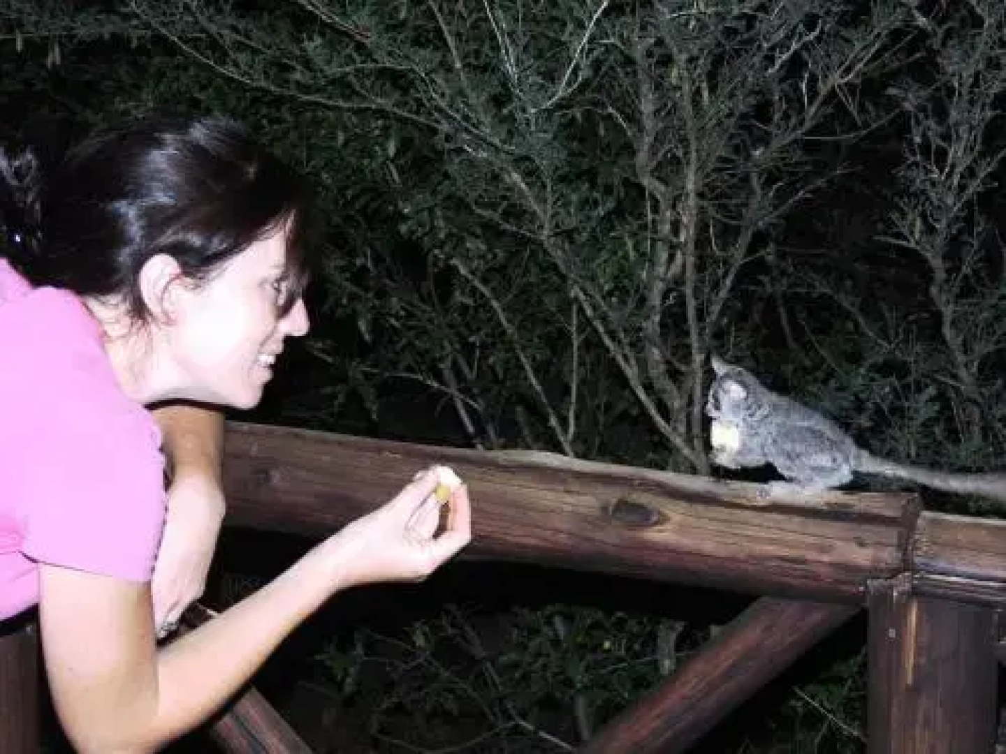 Honey Badger Safari House