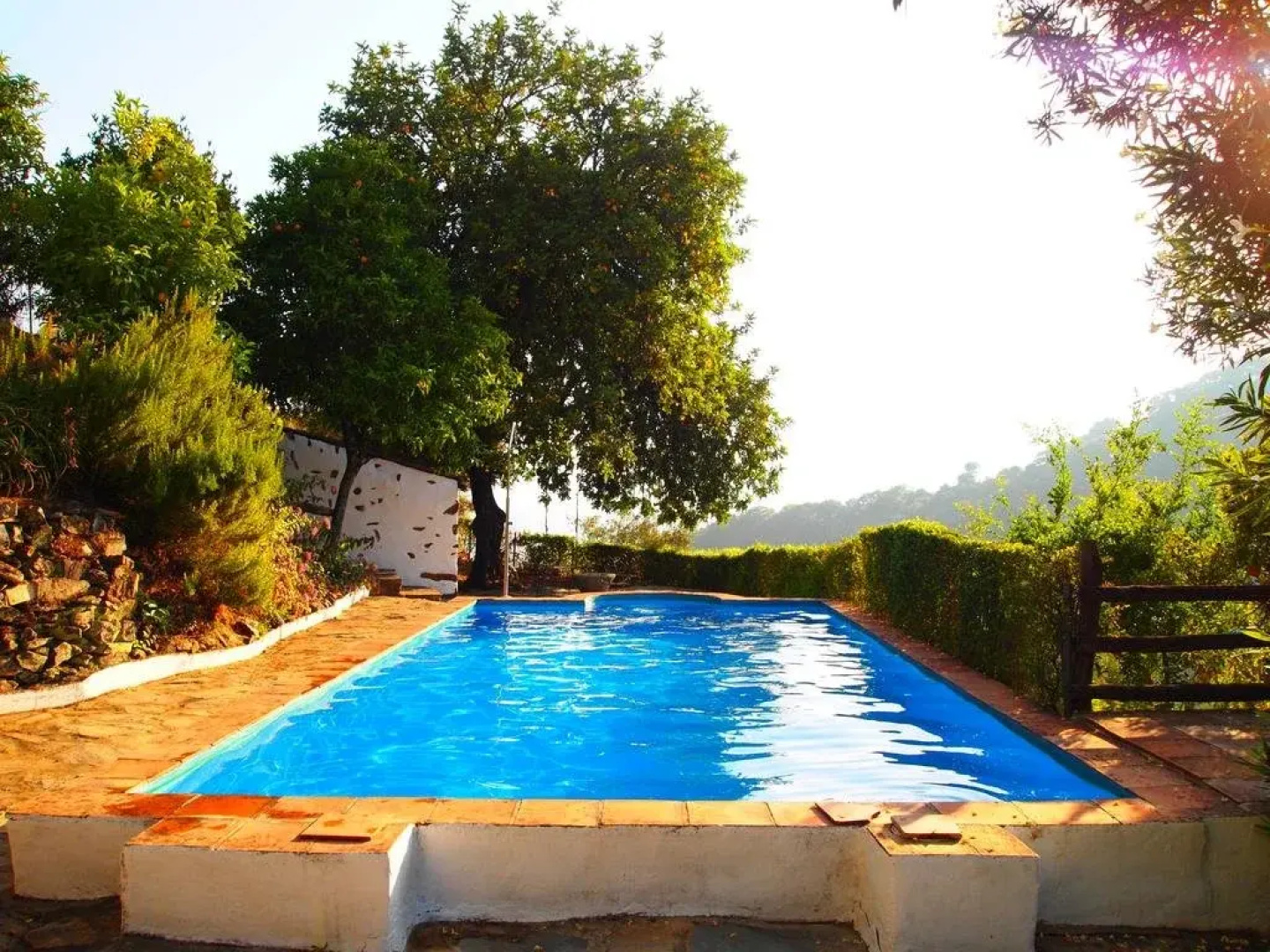 Finca El Molino De Aceite