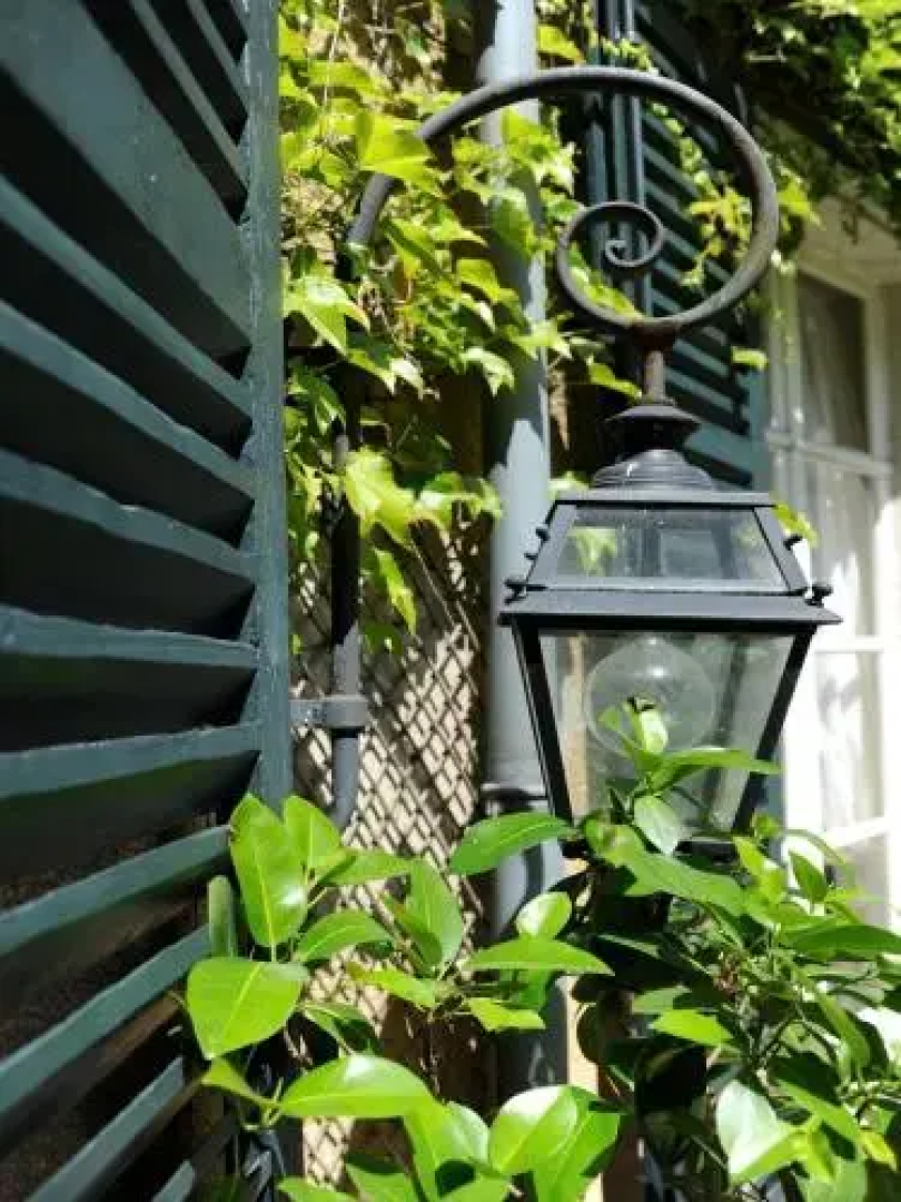 Le Jardin Cathedrale
