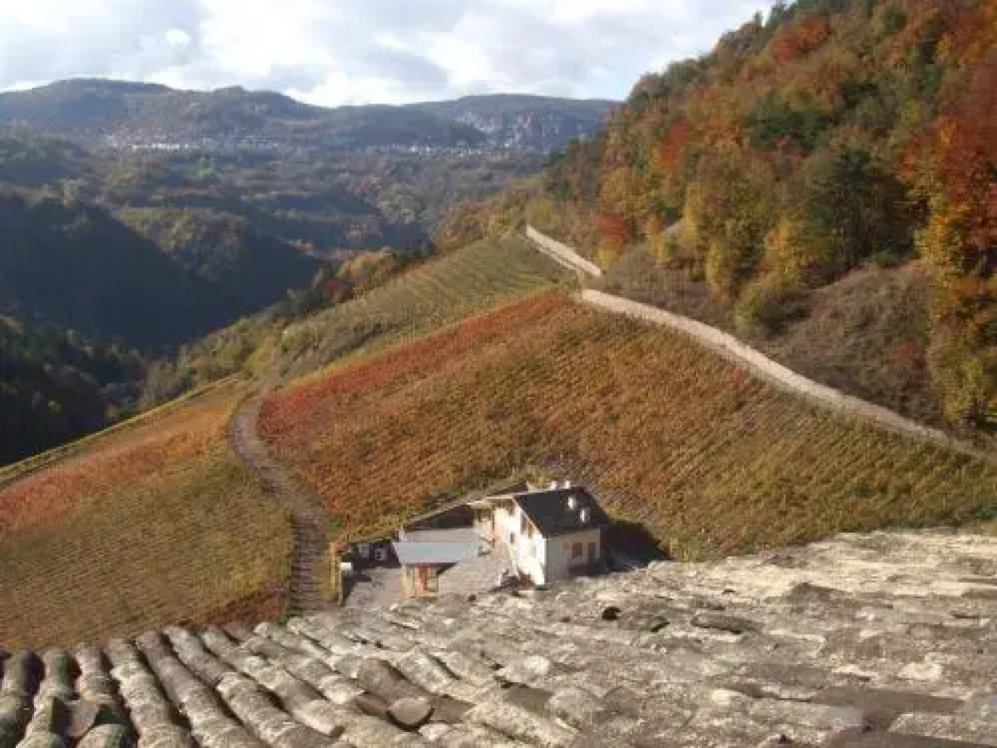 Agriturismo Maso Besleri