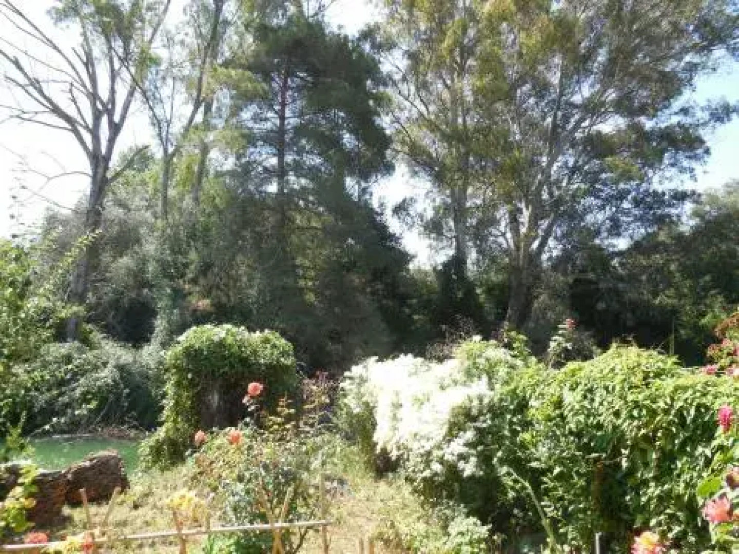 Petros Studios