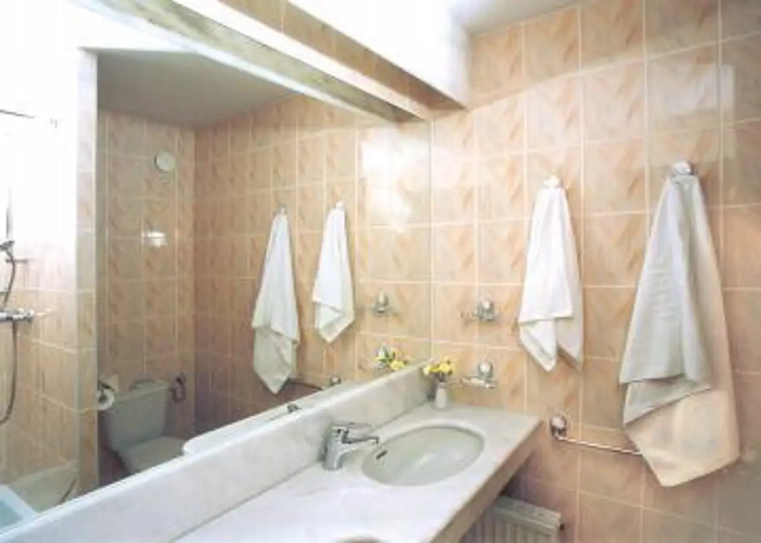 Hotel Wanda