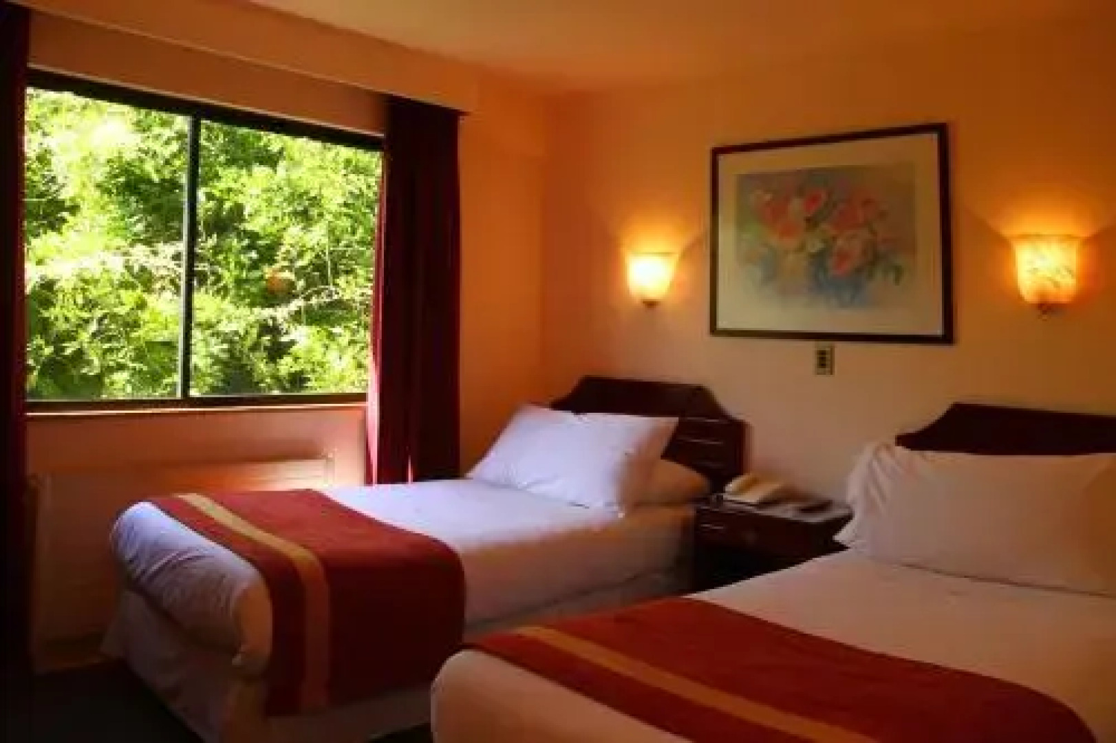 Hotel Palmas Express B&B