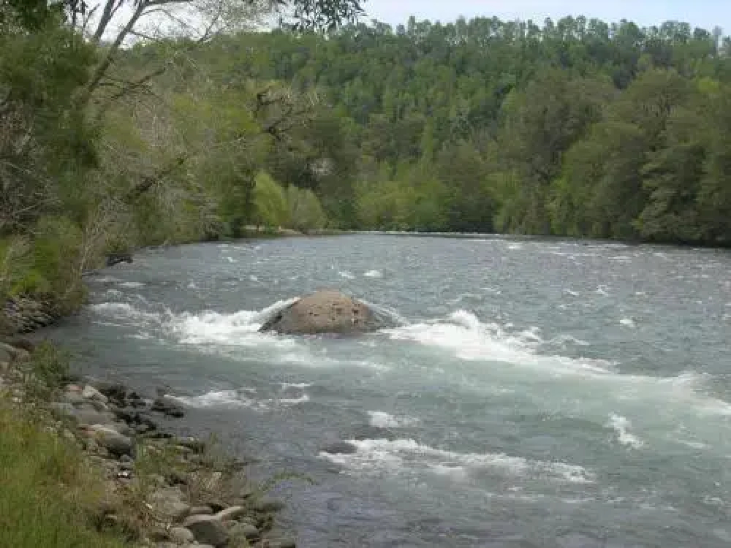 Cabañas Valle del Río