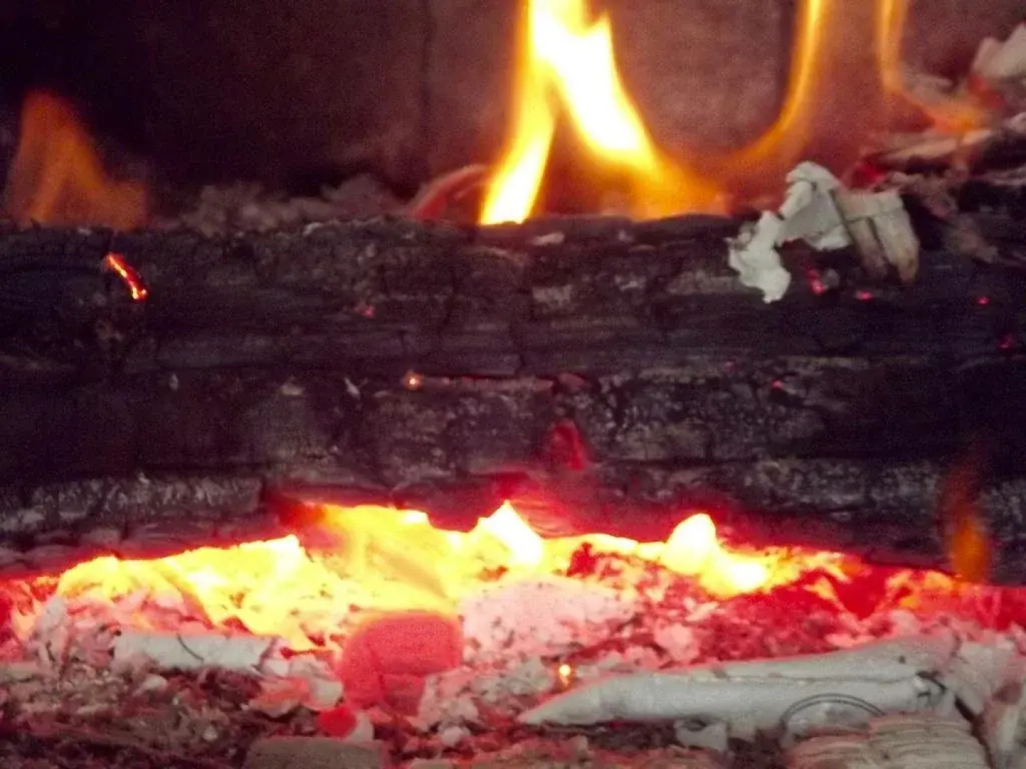 Eden Orchard & Farmstay