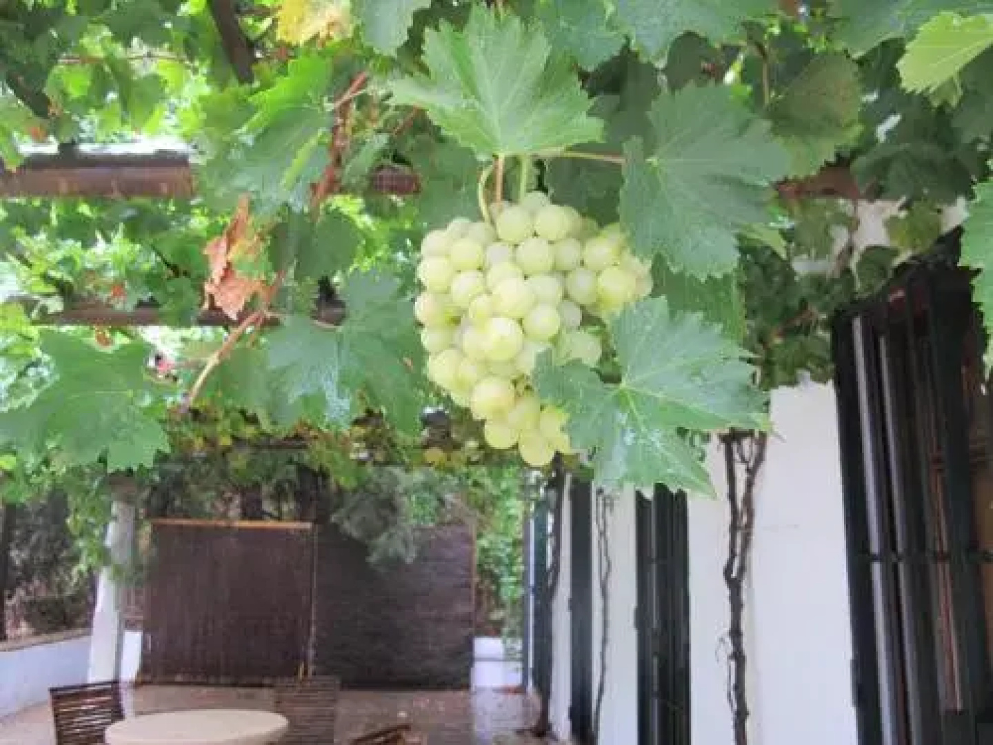 Casa Rural Faín Viejo