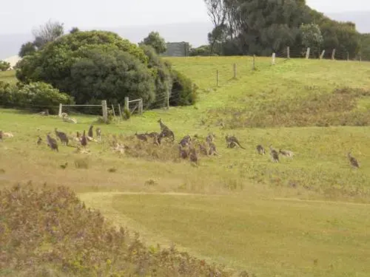 Discovery Bay Cottage