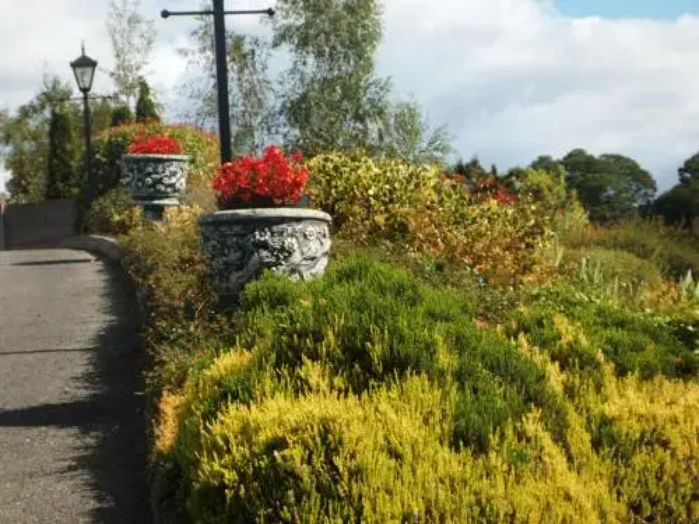Blarney Vale B&B