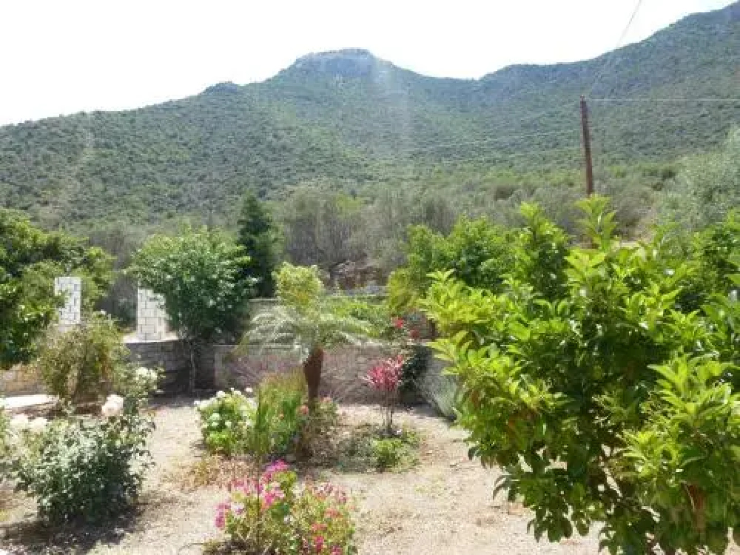 Karantonis House