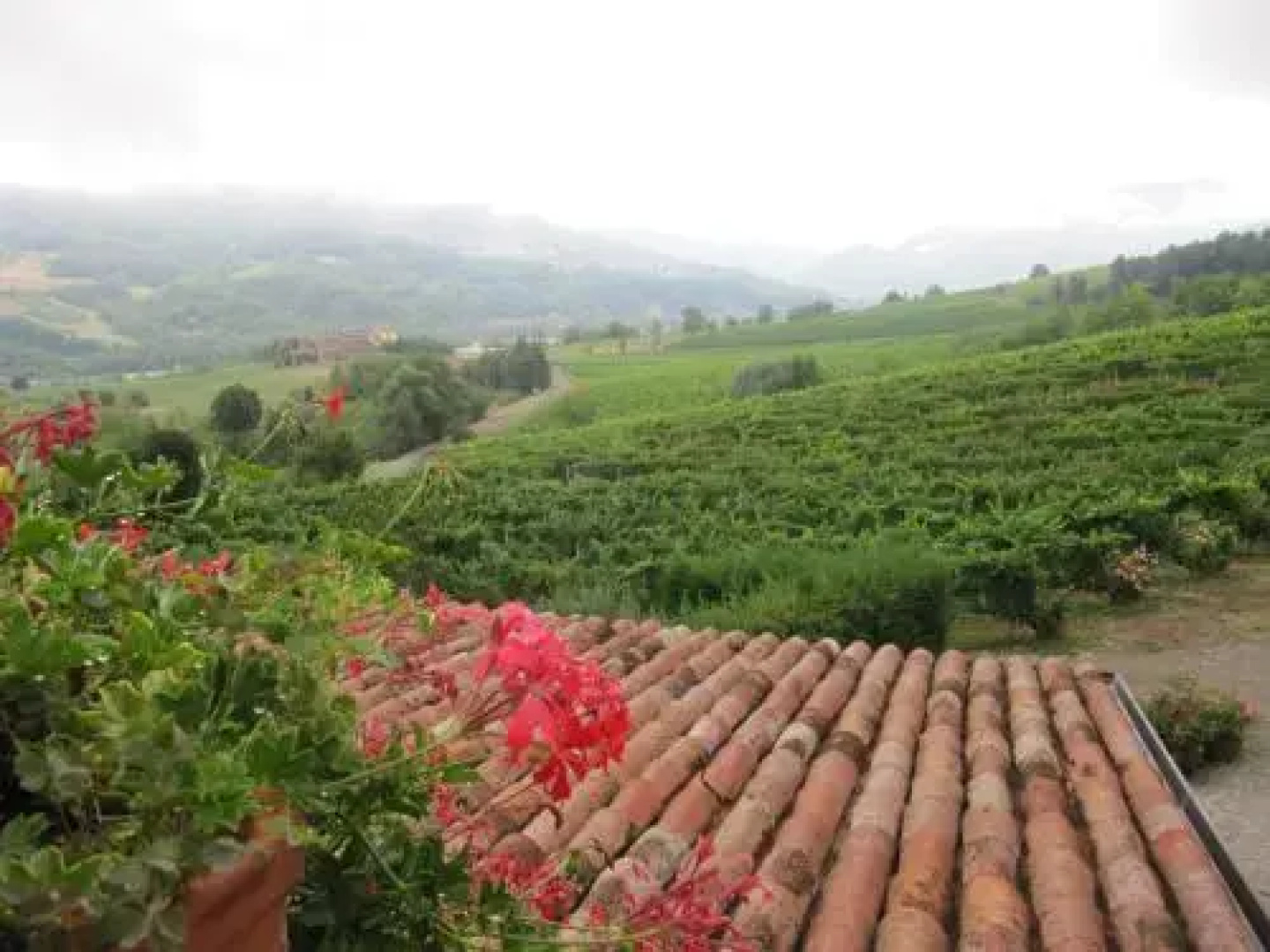 Agriturismo Ronco delle Rose