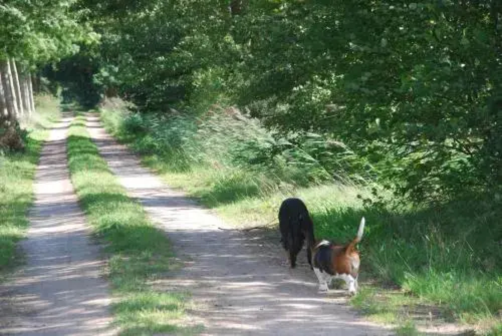 De Hagmolenbeek Boekelo