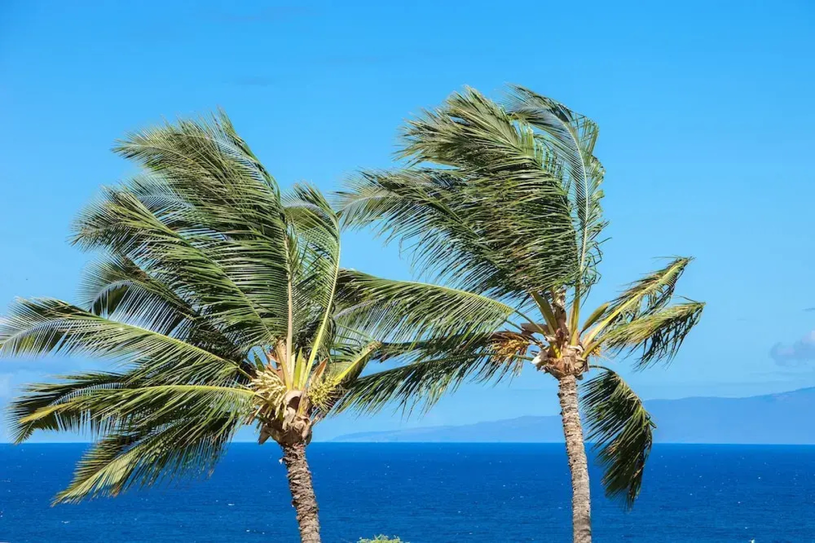 Maui Kamaole #L-202