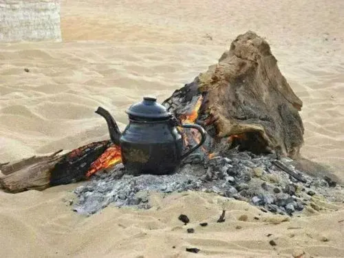 White Desert Camp