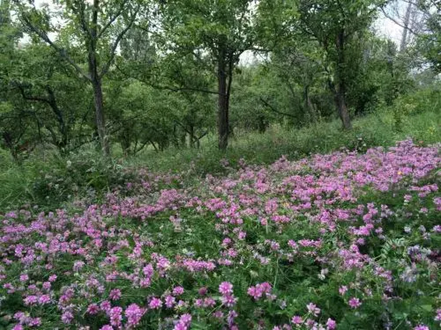Azoyan Holiday Resort