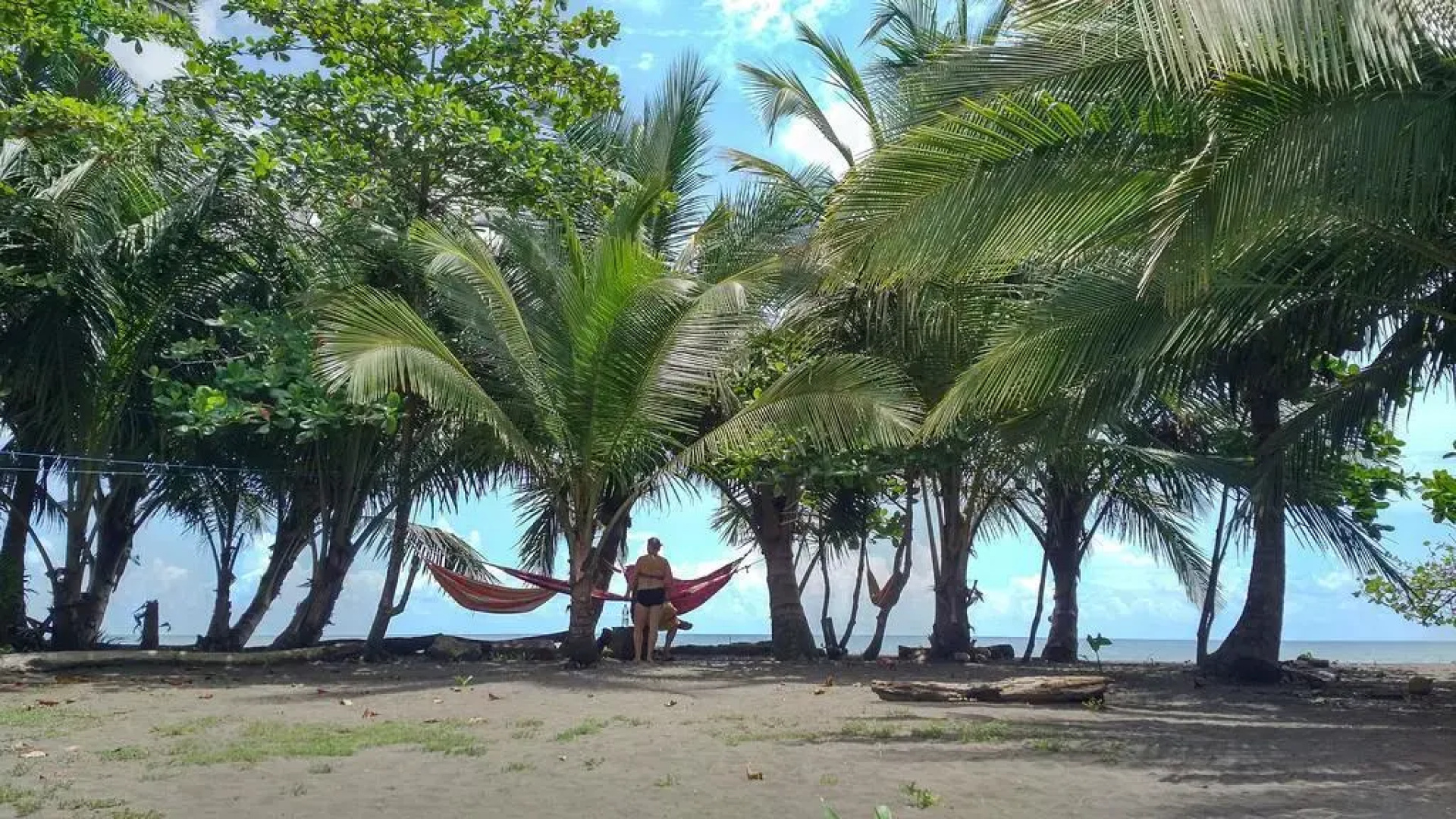 Paisajes del Tortuguero (On The Beach and Town Center)