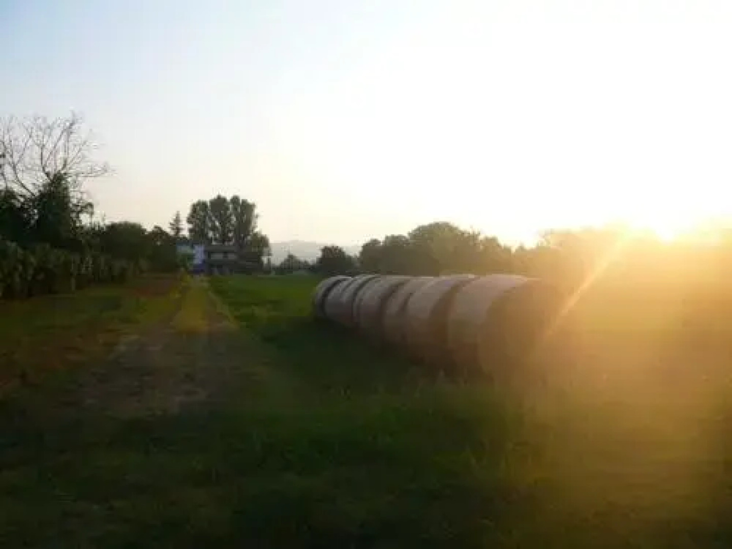 Agriturismo Bosco Del Fracasso