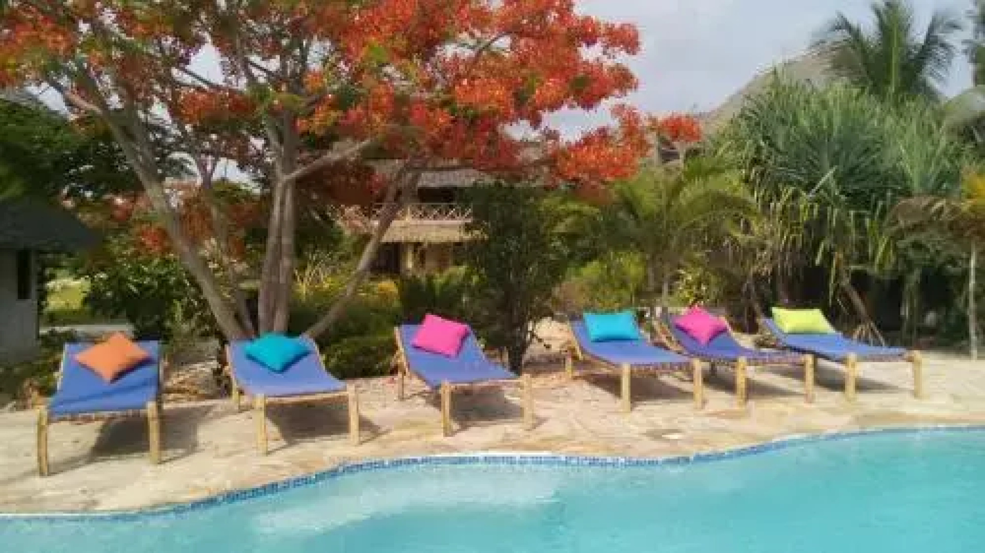 The Coco Paradise
