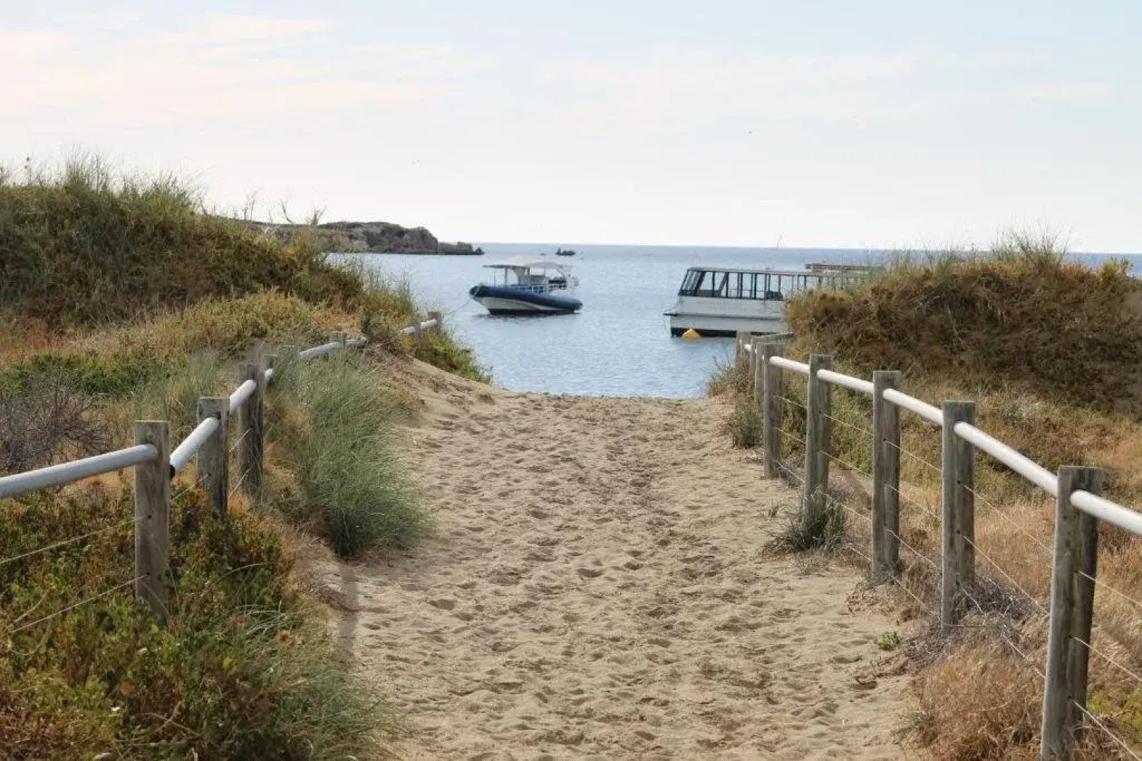 Penguin Beach Retreat