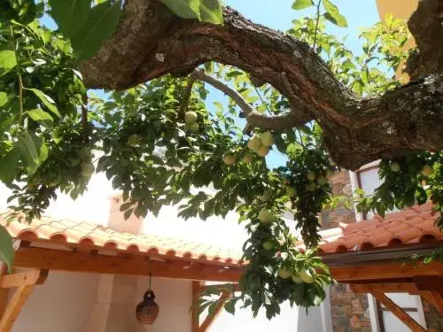 Casa Cova do Barro