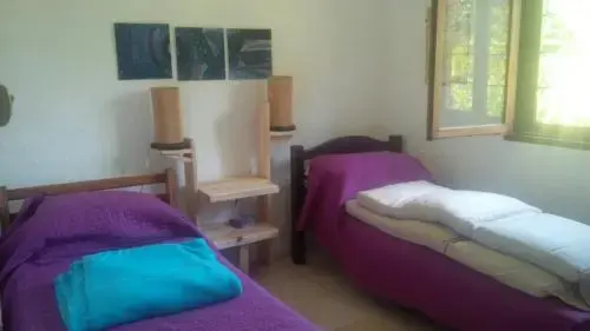 Las Palmeras