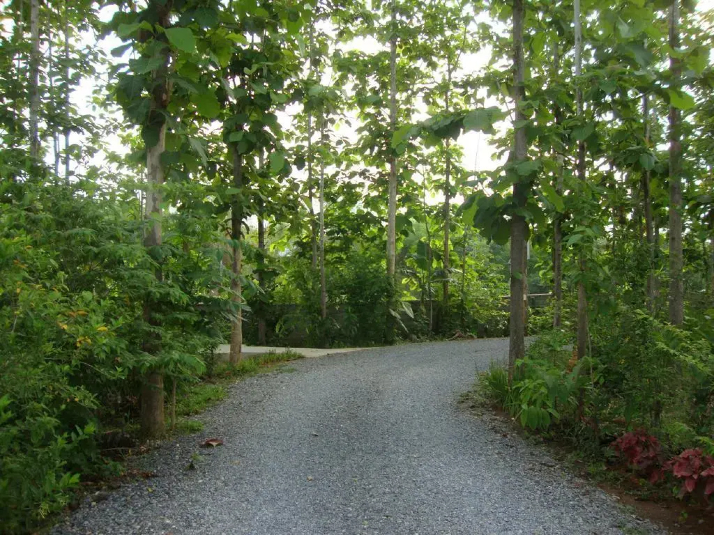 Bansuansak Resort