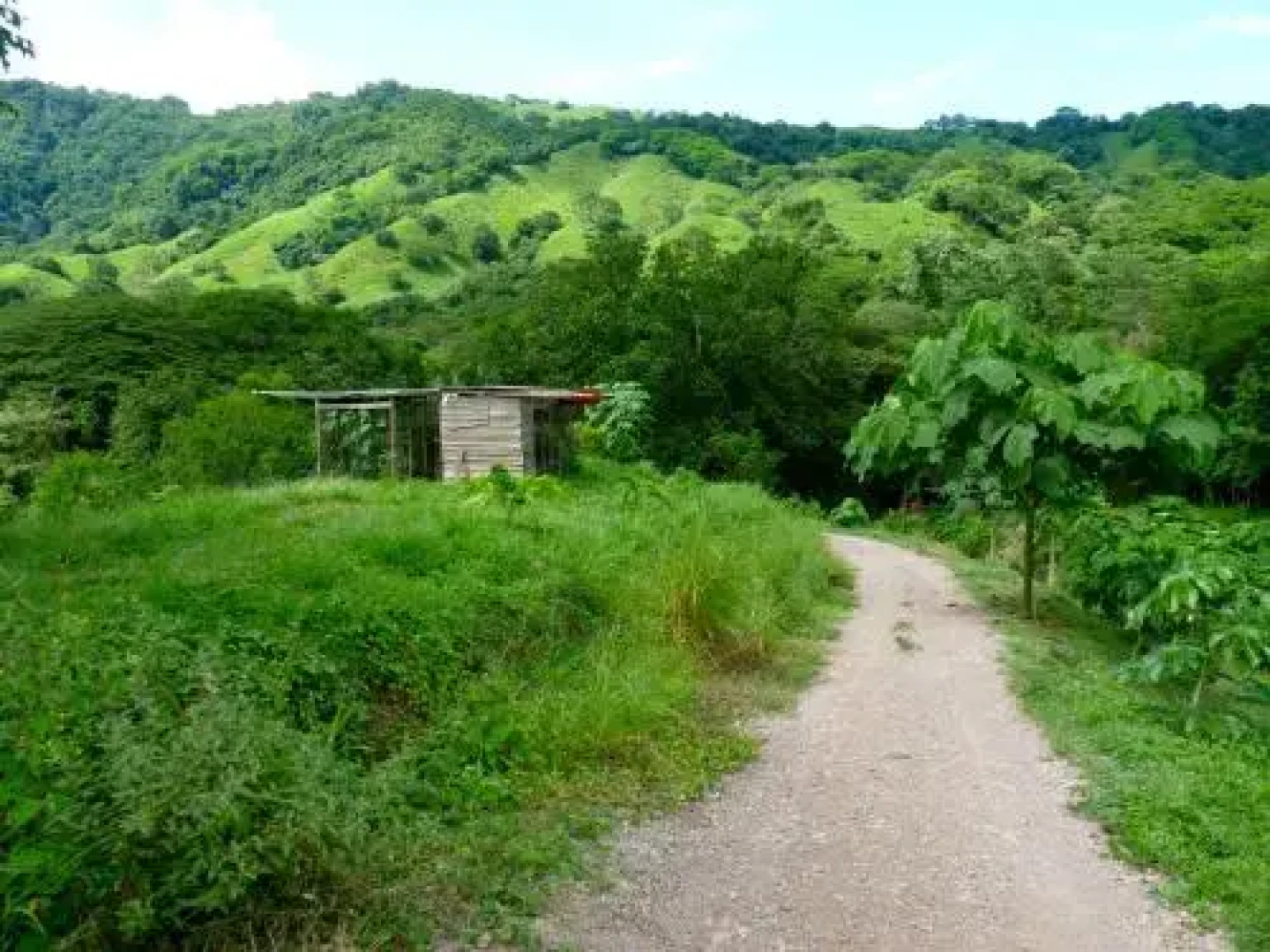 Finca Cantarana